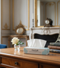 Enrich facial tissues with modern design on a wooden office table with decorative items in an elegant room.